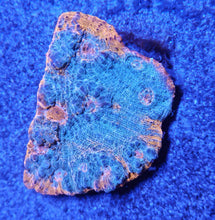 Load image into Gallery viewer, Ultra Chalice Frag