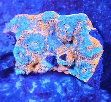 Load image into Gallery viewer, Ultra Chalice Frag