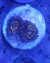 Load image into Gallery viewer, Stratosphere Zoanthid

